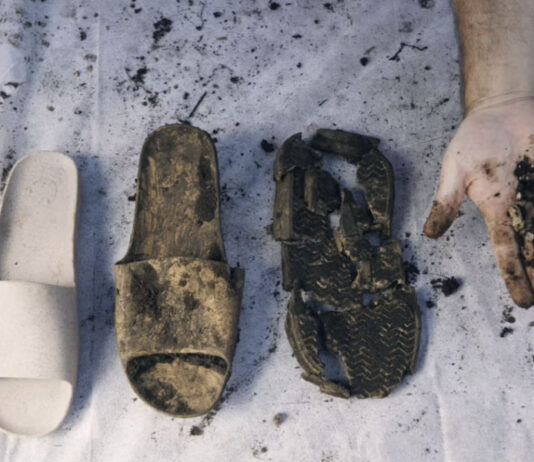 Balena lança slides de plástico compostável e biodegradável