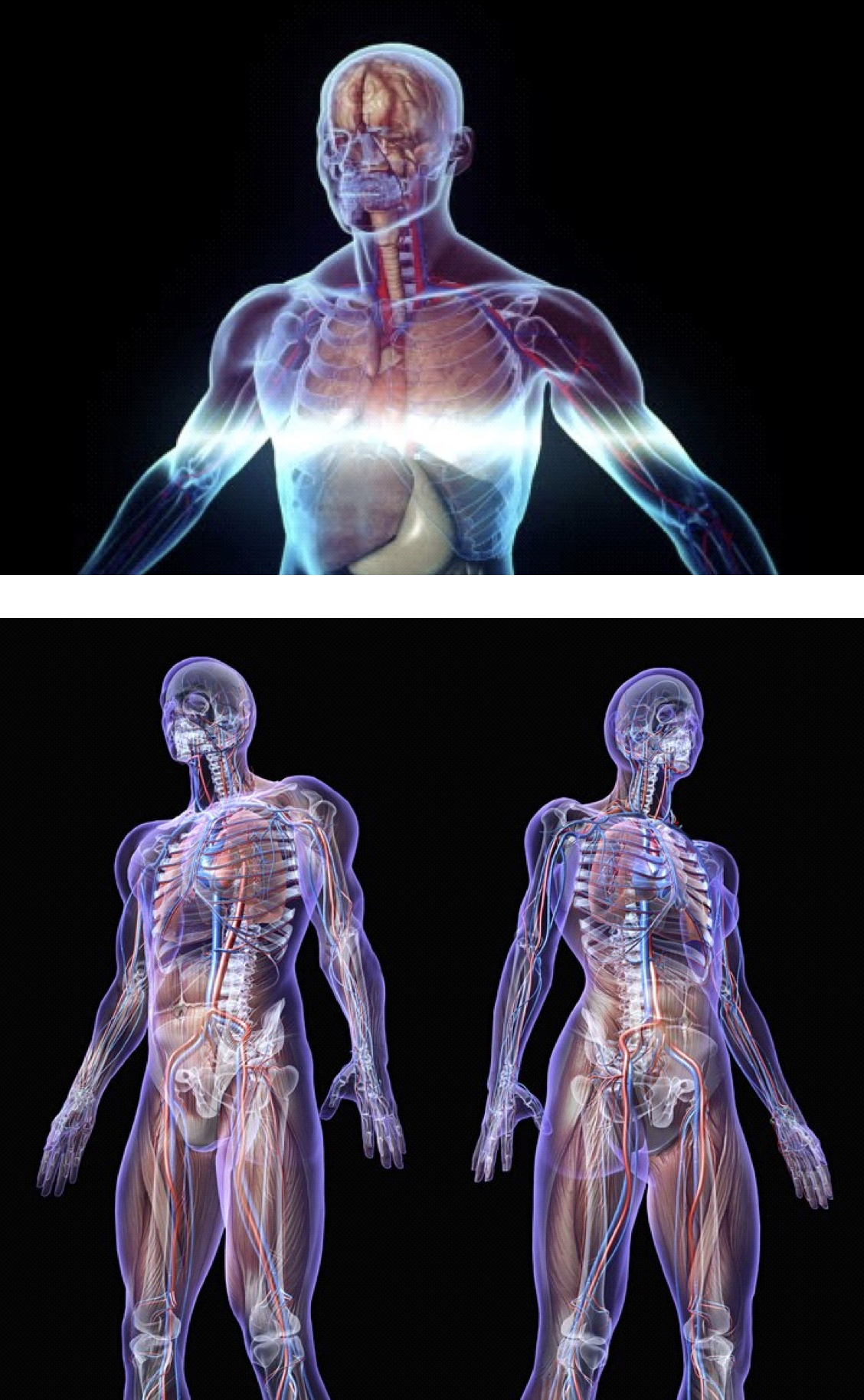 Camas médicas regenerativas - Tecnologia para curar todas as doenças 7
