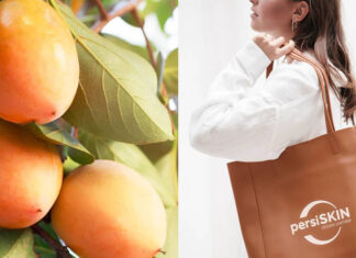 PersiSKIN é uma alternativa vegana ao couro animal feito de excedentes do caqui