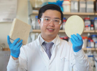 Pesquisadores criam bioespuma para embalagens que se decompõe em poucas semanas