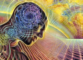 A natureza holográfica da realidade