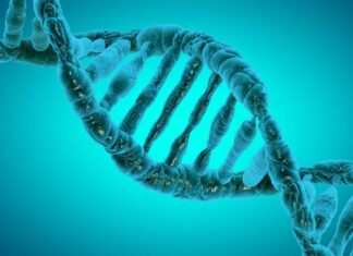 Cientistas mostram como seus pensamentos podem causar mudanças em seu DNA