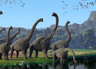 Os dinossauros realmente existiram ou foram uma criação do século XIX?