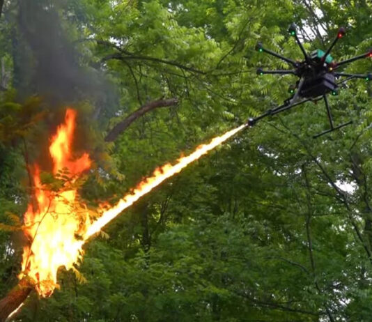 Drones lança chamas foram utilizados nos incêndios florestais de Maui e Tenerife