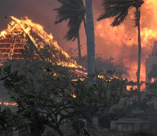 Lahaina foi destruída para a construção de uma cidade prisão de 15 minutos?