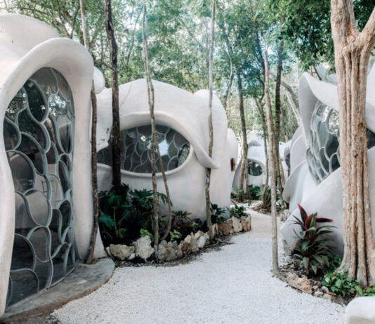 Bioarquitetura – Roth Architecture cria escritório em Tulum com formas de “asas de inseto”
