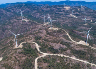 Austrália está derrubando florestas antigas para instalar parques eólicos que produzem “energia verde”