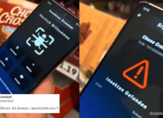 Novo aplicativo detecta instantaneamente insetos na comida processada