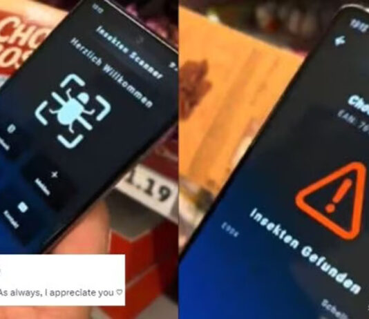 Novo aplicativo detecta instantaneamente insetos na comida processada