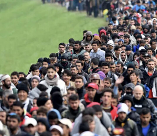 O plano de imigração em massa da Agenda 2030 exposta!