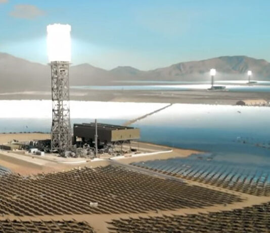 Planeta dos Humanos – O golpe das “energias verdes”.