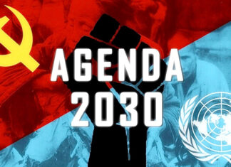 A Agenda 2030 da ONU quer um mundo onde “você não terá nada e será feliz”.