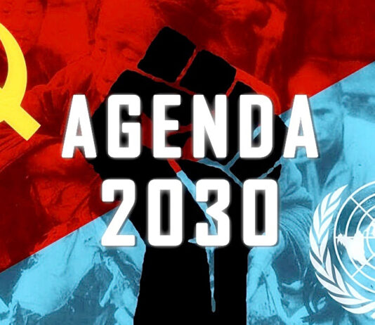 A Agenda 2030 da ONU quer um mundo onde “você não terá nada e será feliz”.