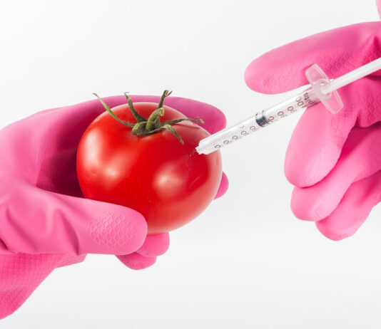 OGM e os perigos da indústria da biotecnologia