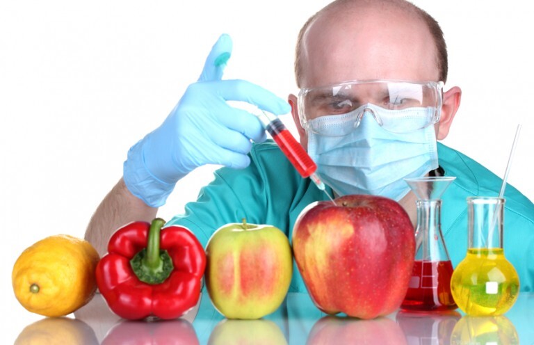 OGM e os perigos da indústria da biotecnologia 2