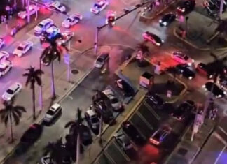 Quem são as “criaturas” vistas no Miami Mall e na Ilha do Mel?