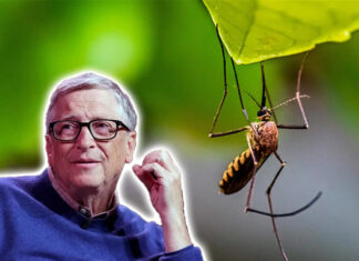 As fábricas de mosquitos OGM de Bill Gates para infectar a humanidade