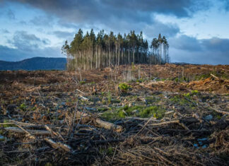 A agenda globalista do “Ecocídio” visa criminalizar a agricultura?