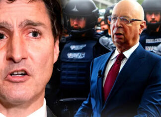 Justin Trudeau entra em pânico com mandados de prisão emitidos contra os fantoches do Fórum Econômico Mundial