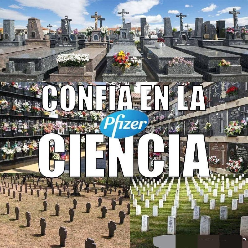 Governo alemão admitiu que a pandemia do Covid foi uma farsa 8