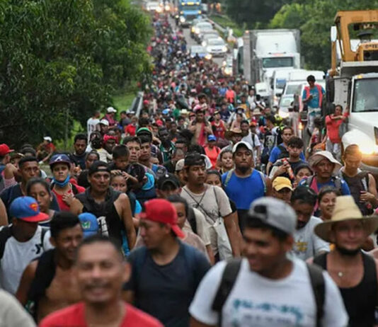 Imigrantes ilegais estão sendo alojados e treinados em universidades americanas.