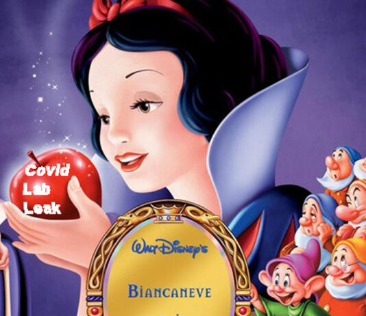 A história falsa do vírus COVID criado em laboratório conquista os tolos