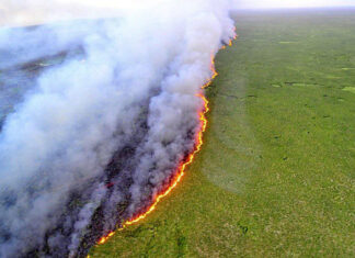 Os incêndios criminosos por todo Brasil servem para inflar a agenda climática?