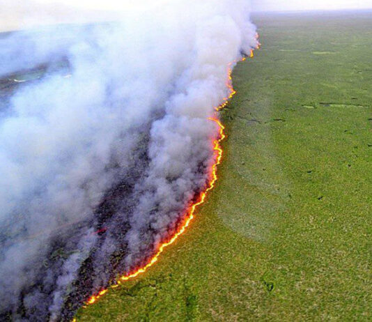 Os incêndios criminosos por todo Brasil servem para inflar a agenda climática?