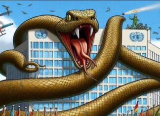 OMS declara “emergência sanitária global” pouco antes das eleições nos Estados Unidos.