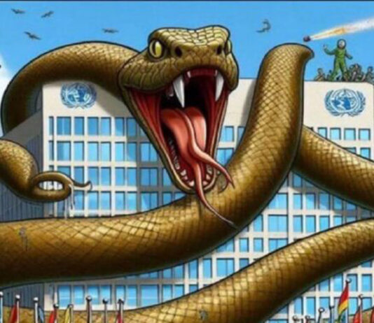 OMS declara “emergência sanitária global” pouco antes das eleições nos Estados Unidos.