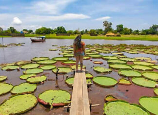 O primeiro “Lockdown Climático” começou no Pará?
