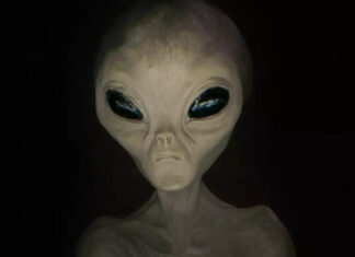 Primeiro templo do mundo dedicado aos Greys de Zeta Reticuli foi construído na Índia.