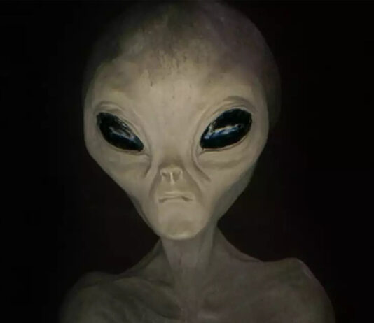 Primeiro templo do mundo dedicado aos Greys de Zeta Reticuli foi construído na Índia.