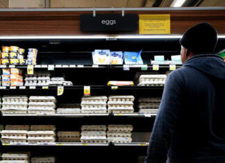 O governo Biden ordenou a matança de mais de 100 milhões de galinhas.