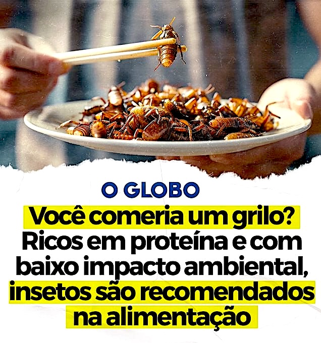 O governo Lula está destruindo a agricultura no Brasil para que a população coma insetos! 3