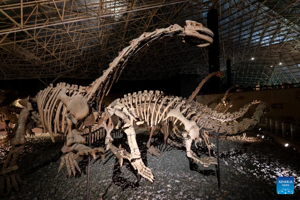 Os dinossauros nunca existiram, foi uma fabricação da Royal Society no século XIX. 5