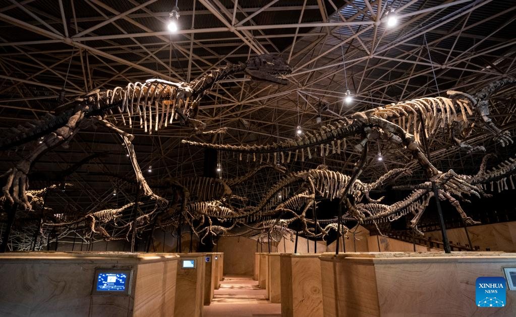 Os dinossauros nunca existiram, foi uma fabricação da Royal Society no século XIX. 3