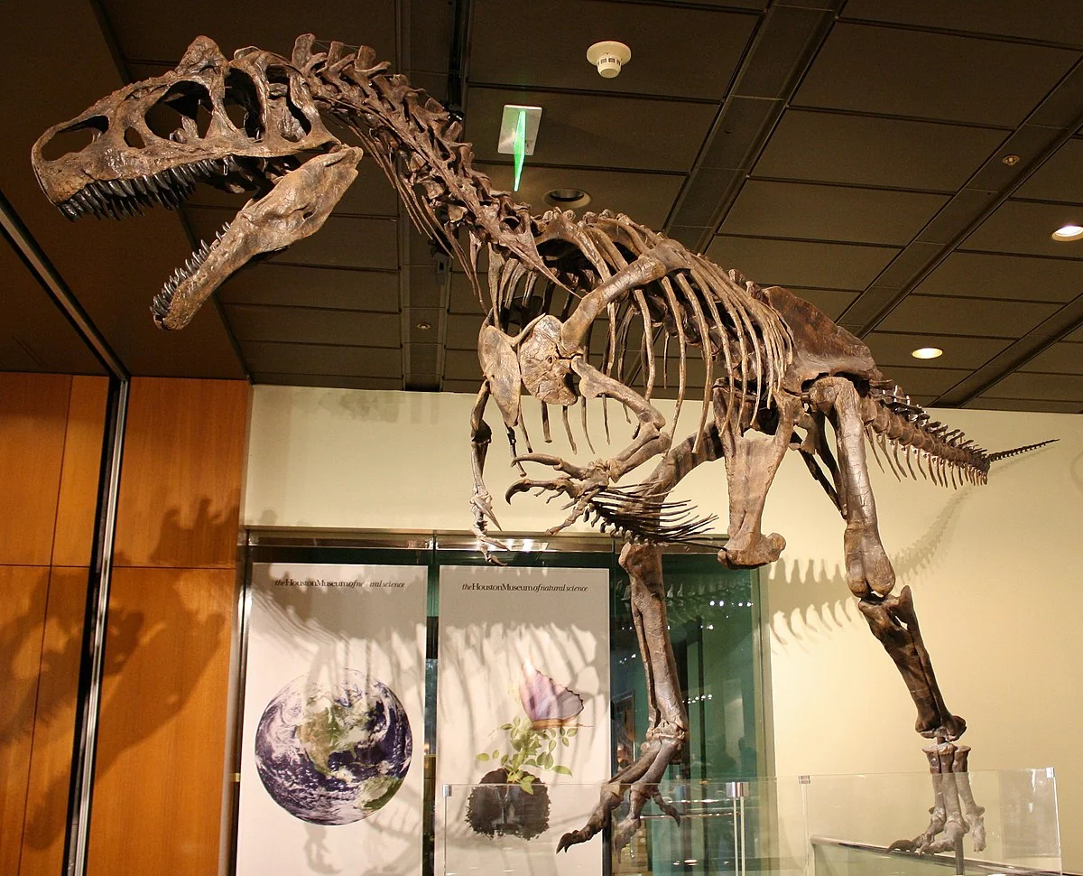 Os dinossauros nunca existiram, foi uma fabricação da Royal Society no século XIX. 10