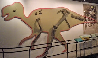 Os dinossauros nunca existiram, foi uma fabricação da Royal Society no século XIX. 4
