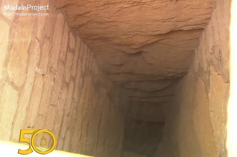 Zahi Hawass, o "arqueólogo mais famoso do mundo" que oculta o passado extraterrestre do Egito. 11