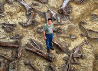 Os dinossauros nunca existiram, foi uma fabricação da Royal Society no século XIX.