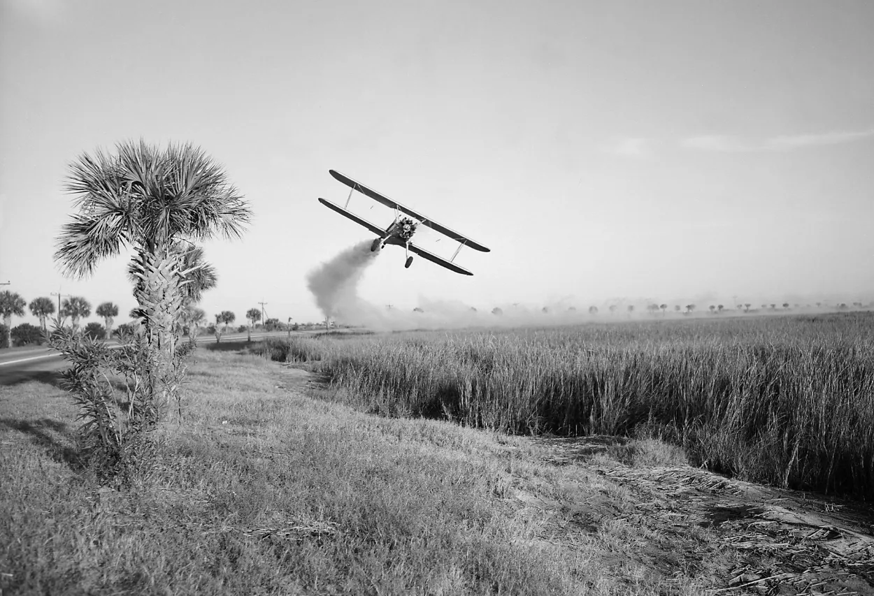 O grande golpe das vacinas: Como enganaram o mundo e lucraram com as mentiras. 6