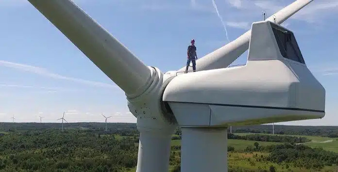As turbinas eólicas são uma ameaça ao meio ambiente, à vida selvagem e à saúde humana. 4