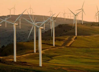 As turbinas eólicas são uma ameaça ao meio ambiente, à vida selvagem e à saúde humana.