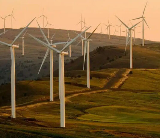 As turbinas eólicas são uma ameaça ao meio ambiente, à vida selvagem e à saúde humana.