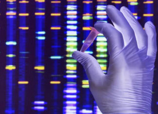 O DNA é uma materialização da alma. É quem você é.