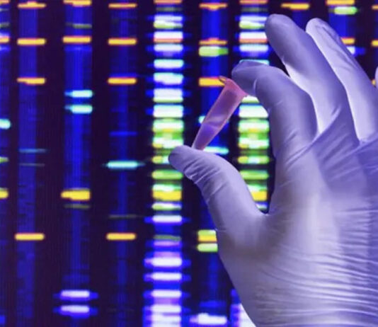 O DNA é uma materialização da alma. É quem você é.