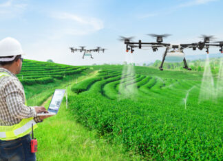 Agroterrorismo – Cidadãos chineses financiados pelo PCC são flagrados contrabandeando “fungo destruidor de plantações” para os EUA.