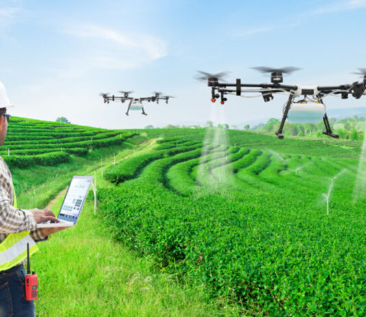 Agroterrorismo – Cidadãos chineses financiados pelo PCC são flagrados contrabandeando “fungo destruidor de plantações” para os EUA.