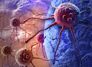 Estudos confirmam que a ivermectina, fenbendazol e mebendazol destroem o câncer e que a quimioterapia reativa células tumorais dormentes.